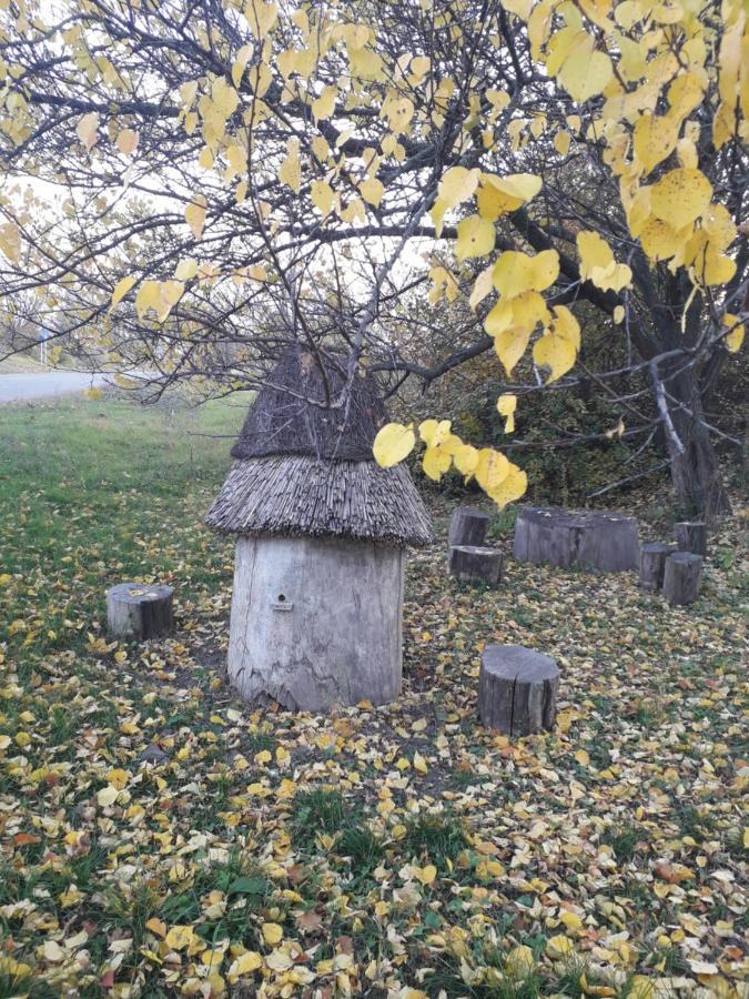 Медова Садиба Subbotiv Exteriör bild