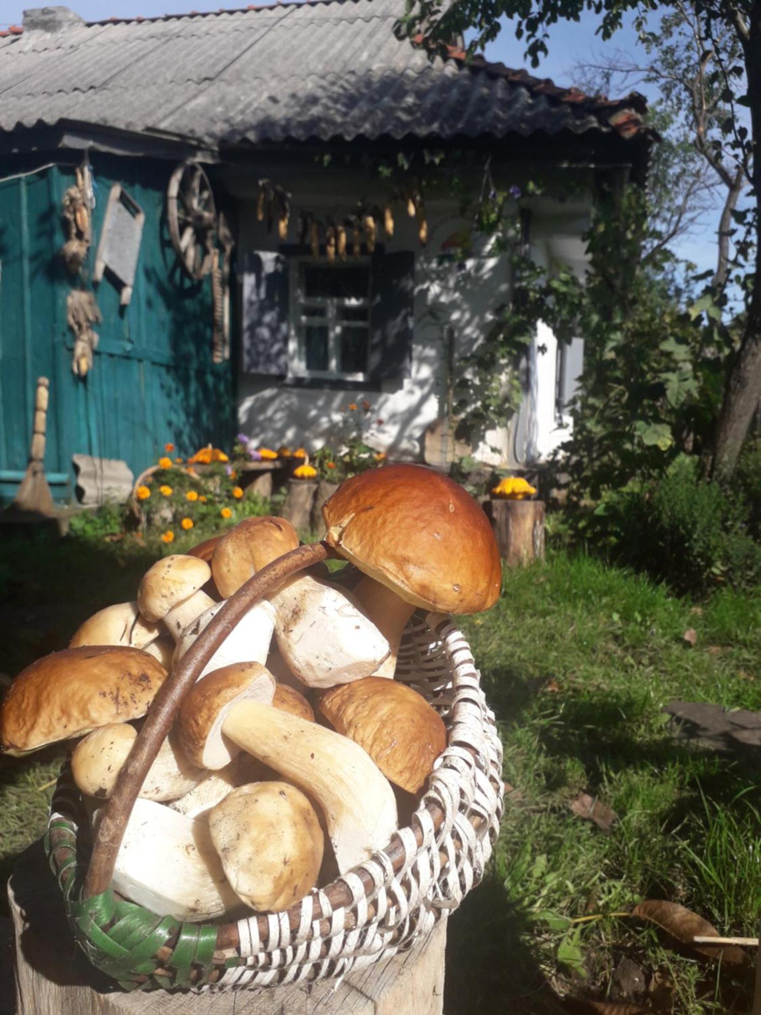 Медова Садиба Subbotiv Rum bild
